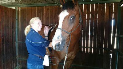 Horse therapist that uses the Winks Greene Transeva. for more info: helpinghands1healinghearts@gmail.com