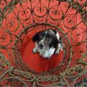 JohnReadSmithAntique - @JohnReadSmith1 - Twitter