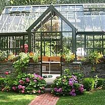 ostheenglish's profile picture. 