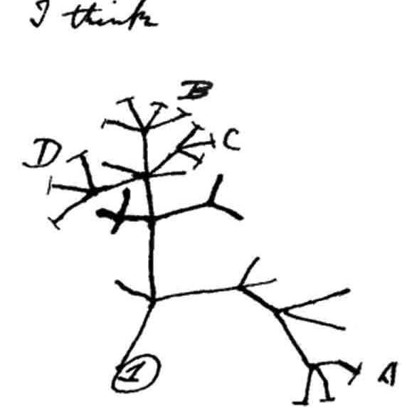 Scepticus_D's profile picture. I am Jack's complete lack of surprise. 🌈