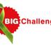 BigchallengePluimvee (@bc_pluimvee) Twitter profile photo
