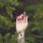 jojmm's profile image