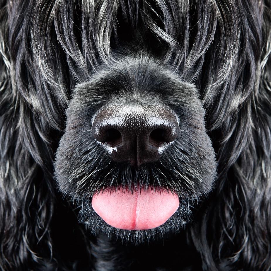 Christian Aslund Profile