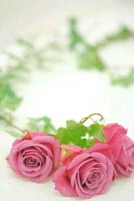ﻭﻷﻥْ ﺍﻟﻘـﺎﺩِﻡْ ﻣﻜﺘُﻮﺏْ ﻭﺍﻟﻤـﺎﺿِﻲ ﻟﻦْ ﻳﺰُﻭﻝْ , ﻭﻷﻥْ ﺍﻟﺤَﻆّ ﻟﻴﺲَ ﺃﻫﻼً ﻟِﻠﺜِّﻘﻪ
 ﻋﻠﻴﻨَـﺎ ﺃﻥْ ﻧﻜُﻮﻥْ ﺃﻗﻮِﻳـﺎﺀْ ﻟِﻨﻌِﻴﺶْ ﻛﻤَـﺎ ﻳَﺠِـﺐْ