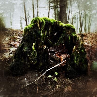 iPhoneFinland's profile picture. All photos and videos are taken and edited by me and a iPhone 6 in Finland