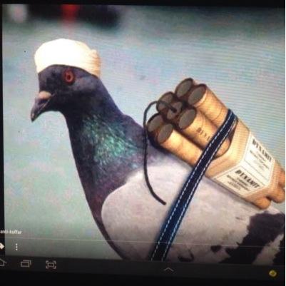 samirovski67's profile picture. 