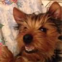 Joe Pedersen - @slick151621 - Twitter