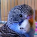 Alexander Michael - @Alexand33751163 - Twitter