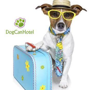 DogCanHotel's profile picture. DogCanHotel. Hotel 4* en Benidorm. Admitimos mascotas.¿Imaginas unas vacaciones con tu perro?