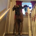 Dave Mansell - @dphmansell - Twitter