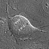 Lindon Lab Latest (@lindonlab) Twitter profile photo