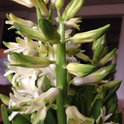 mairamania's profile picture. 