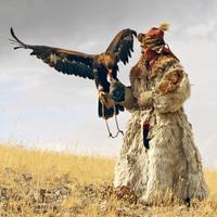 Türk Kartalı (@turk_kartali) 's Twitter Profile