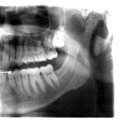 Poupou91's profile picture. Veve crypto geek conquête spatiale esport télé sport tesla IA immo ecomm / je follow back - faisons vivre la commu Veve et crypto FR https://t.co/KBpzWf0BSy