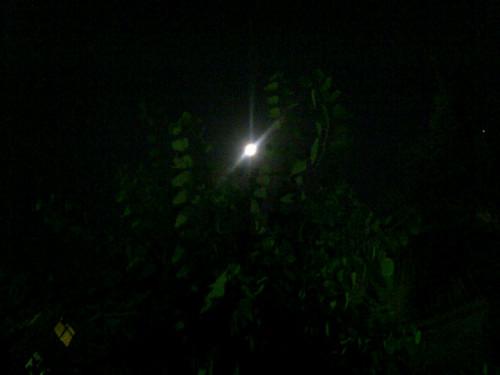 http://t.co/w4zPn1K1MV