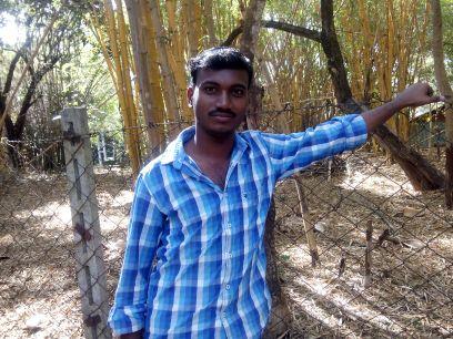 polimer Reporter