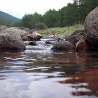 Magnolia Abraham (@pandorastarr51) 's Twitter Profile Photo