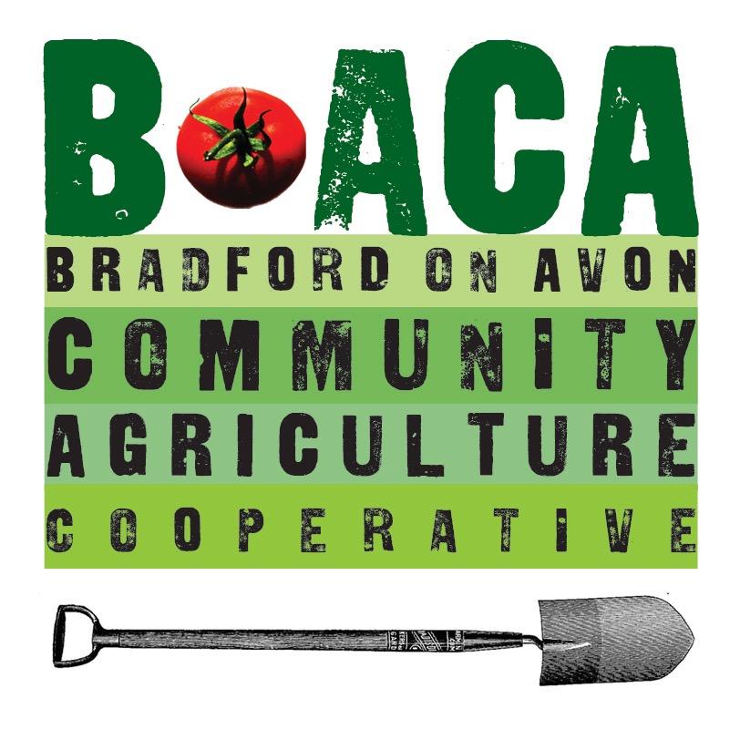 Veg growing & veg-box co-op for the community in Bradford on Avon, using organic principles, seeking to get muddy & have fun whilst learning about growing food!