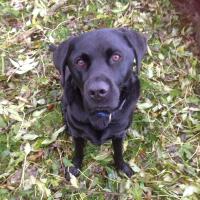 Ellie 🏴󠁧󠁢󠁷󠁬󠁳󠁿 (@x_elliep) 's Twitter Profile Photo