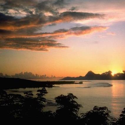 elcoman62's profile picture. 