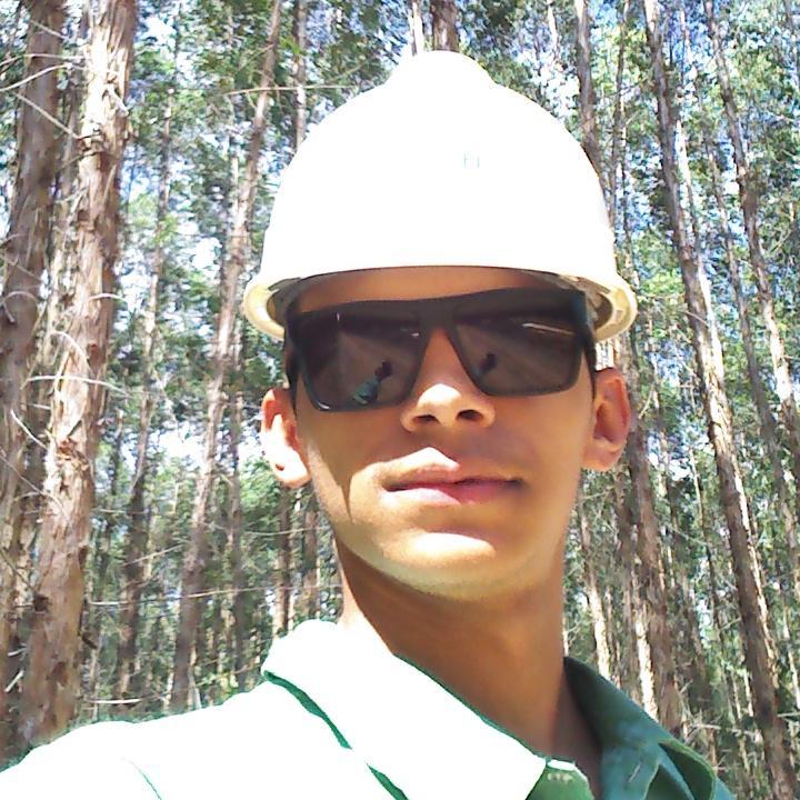 Engenheiro Florestal e Segurança do Trabalho.