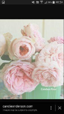 A woman's heart is a deep ocean of secrets