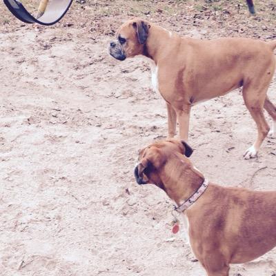 durranrk's profile picture. 