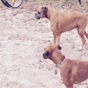 Russell Durrant - @durranrk - Twitter