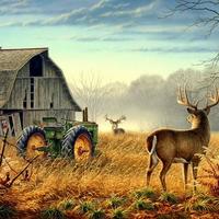 Doug Maxcey (@dmaxcey) 's Twitter Profile