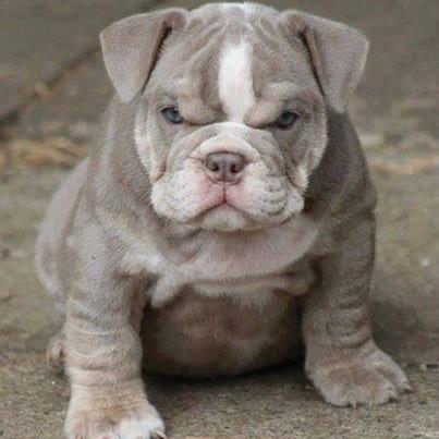 kelly_tillou's profile picture. 