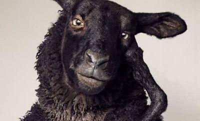 skelac24's profile picture. 