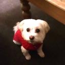 Janice Kenny - @itsnotmejan - Twitter