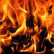 damnlookjanish's profile picture. Hello. . .