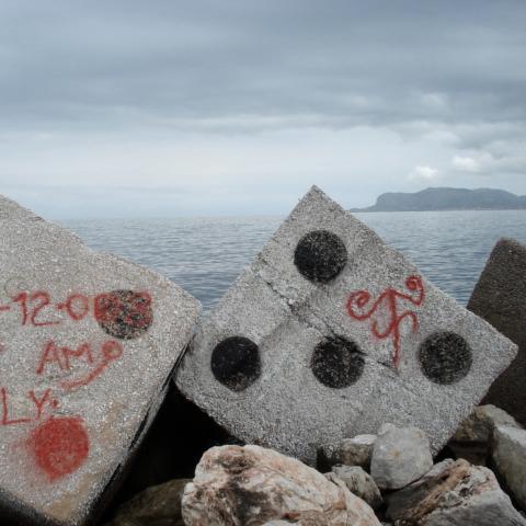 ankhfnkhonsu's profile picture. 