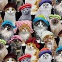 Mary Casazza - @mcasazza58 - Twitter