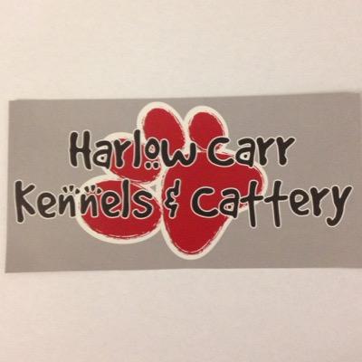 HcKennels's profile picture. Family run, fully licensed boarding kennels & cattery located only 1 mile from the town of harrogate. 
Prices from £6.25 (dogs) & £5.00 (cats)
call 01423 504859