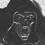 Abteilung14's profile image