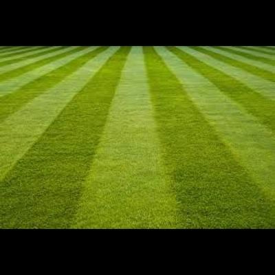 32greenlcp's profile picture. At 32Green we pride ourselves on high quaility lawn care we are passionate about your lawn, we are the lawn care professionals