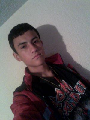 whatsapp:3133375305