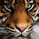 Ramiro Rico Baeza - @RamiroRB92 - Twitter