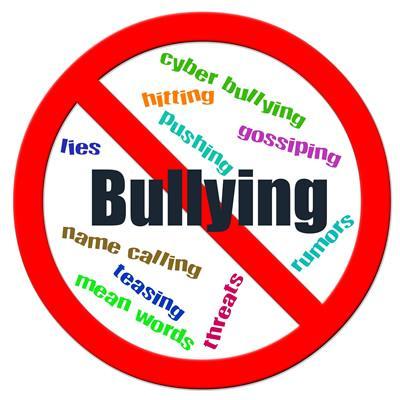 My goal is to get support behind stopping bullying at SLHS and stopping bullying everywhere! If you witness bullying, report it! Make a change!