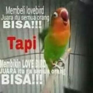 Nama juga hidup ya jalani saja.