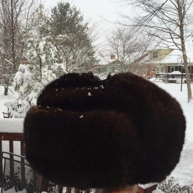 BorisTheHat's profile picture. 