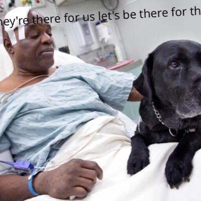 Help Donate for abused Dogs all over Oklahoma http://t.co/VzbR9tzz0q