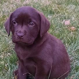 walsh_vickie's profile picture. 