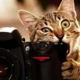 Katanaeva1999's profile picture. 