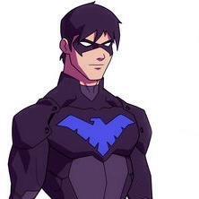 LustingRobin's profile picture. Leader of the teen titans #Lewd RP #single