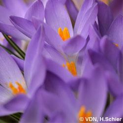 naturparkmag's profile picture. 