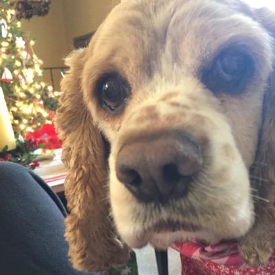 LibbsLife's profile picture. I'm a real nice girl as long I get my way Just don't bring any cats!