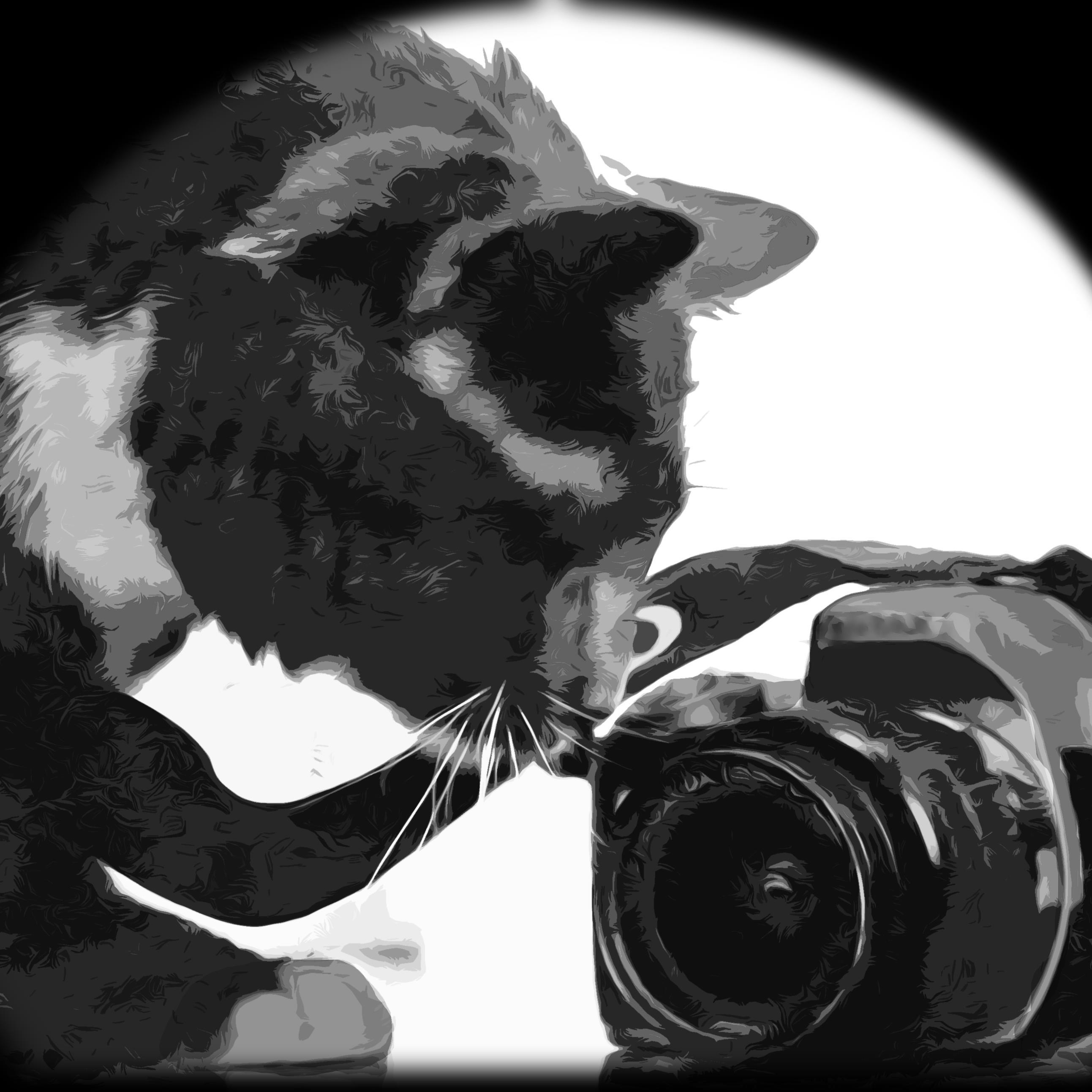 Writer, photographer, designer, film maker, and artist.